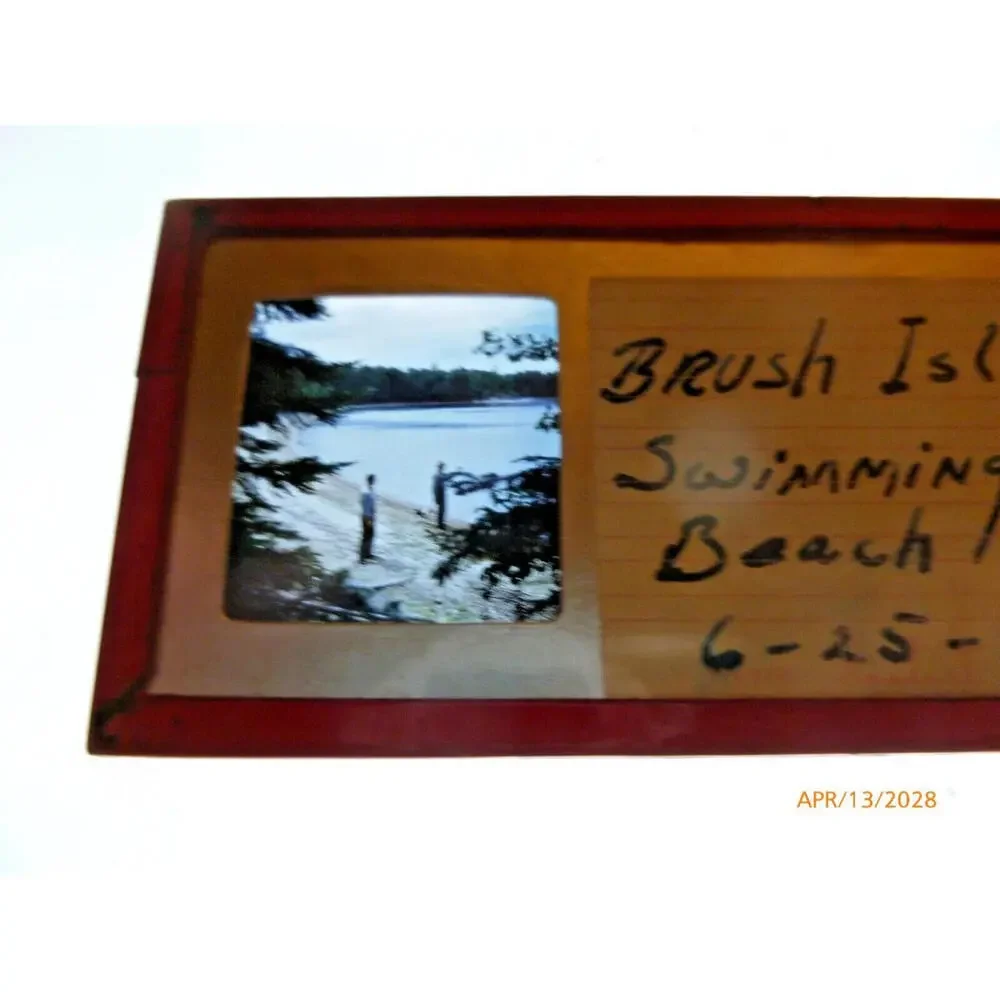 Vintage‎ 1949 Stereo Slide Brush Island Swimming Beach Men Dog Photography 1949